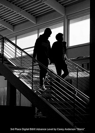 3rd Place Digital B&W Advance Level by Carey Anderson - Stairs.jpg