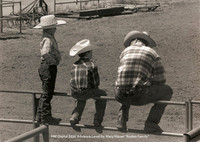 HM Digital B&W Advance Level by Mary Klauer - Rodeo Family