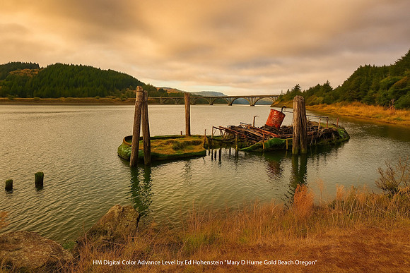 HM Digital Color Advance Level by Ed Hohenstein - Mary D Hume Gold Beach Oregon