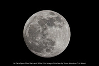 1st Place Open Class Black and White Print Image of the Year by Shane Monahan - Full Moon