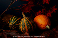 3rd Place Digital Color Advance Level by Ed Hohenstein - Fall Beauty