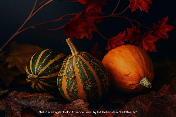 3rd Place Digital Color Advance Level by Ed Hohenstein - Fall Beauty