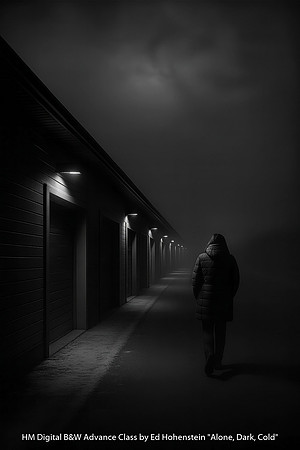 HM Digital B&W Advance Level by Ed Hohenstein - Alone, Dark, Cold