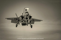 2nd Place Digital B&W Advance Class by Douglas Conrad - Hovering