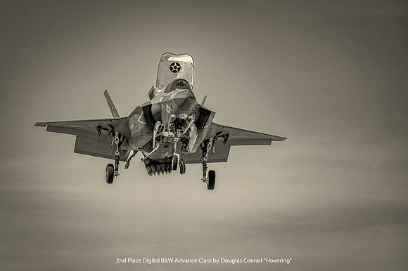 2nd Place Digital B&W Advance Class by Douglas Conrad - Hovering