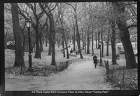 3rd Place Digital B&W Advance Class by Mary Klauer - Central Park