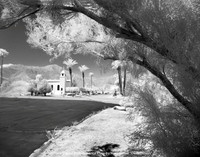 1st Place Digital B&W Advance Class by Mary Klauer - Desert Oasis