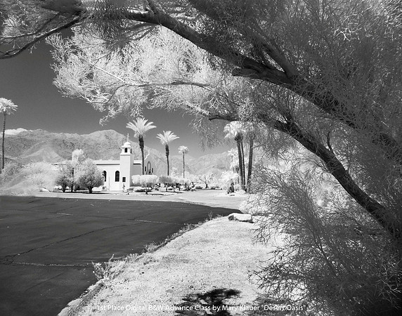 1st Place Digital B&W Advance Class by Mary Klauer - Desert Oasis