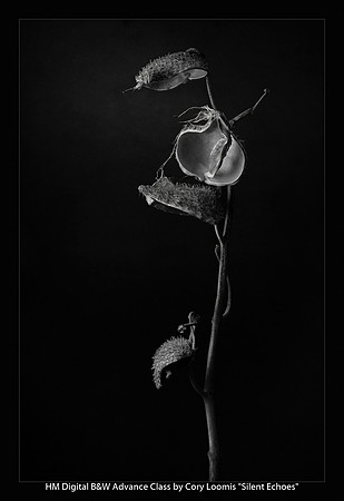 HM Digital B&W Advance Class by Cory Loomis - Silent Echoes