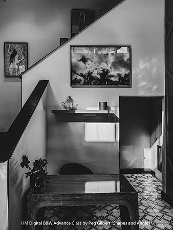 HM Digital B&W Advance Class by Peg Gilbert - Shapes and Angles