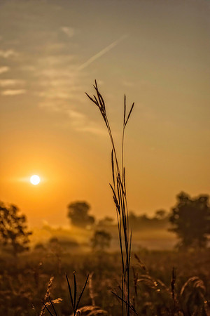 02,SE084,DP,At_First_Light.jpg