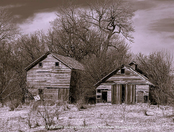HM Digital B&W Advance Class by Denis Hirschman - Abandoned