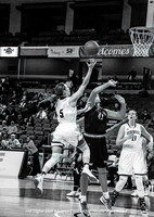 HM Digital B&W Advance Class by Ron Nicolls - Going Up for the Layup
