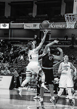 HM Digital B&W Advance Class by Ron Nicolls - Going Up for the Layup