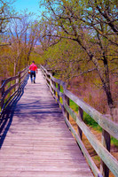 01,SE017,DP,Bridge_Walking.jpg
