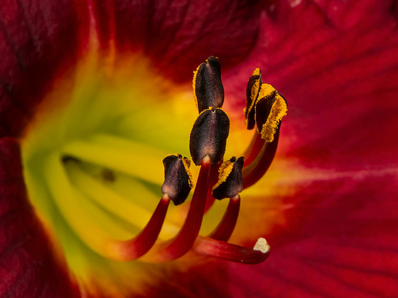 02,SE119,DP,Closeup.jpg