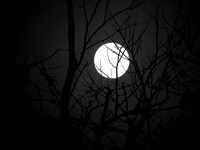 01,SE041,DB,Supper_Moon.jpg