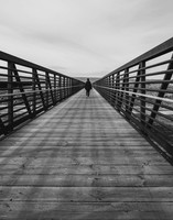 01,SE119,DB,The_Long_Walk.jpg