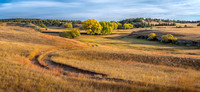 01,SE153,DP,Watkins_Trail.jpg