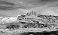 01,SE041,DB,Desert_SW.jpg
