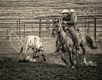 01,SE084,DB,Rodeo_Roping.jpg