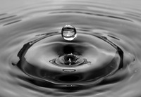 02,SE029,DB,Droplet.jpg
