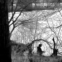03,SE017,DB,Fisherman_at_Bacon_Creek.jpg
