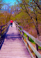 01,SE017,DP,Corey_Bridge_Walking.jpg