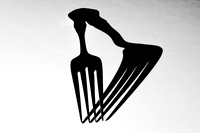 02,SE029,DP,Light_and_Shadow.jpg