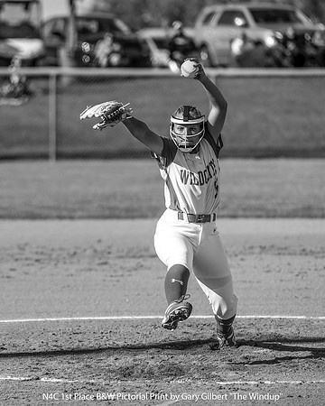 N4C 1st Place B&W Print by Gary Gilbert - The Windup