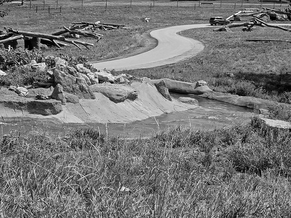 02,SE017,DB,S_Curves_in_Bear_Country.jpg