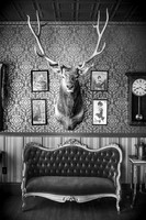 01,SE153,DB,Elk_Lounge.jpg