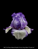 N4C 3rd Place Sltered Reality Print by Peg Gilbert - Purple Iris