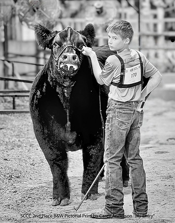 SCCC 2nd Place B&W Pictorial Print by Carey Anderson - My Entry