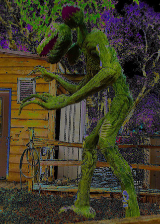 02,SE017,DA,Fontenelle_Forest.jpg