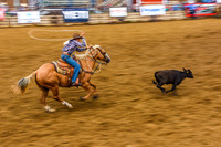 02,SE029,DP,Steer_Roping.jpg