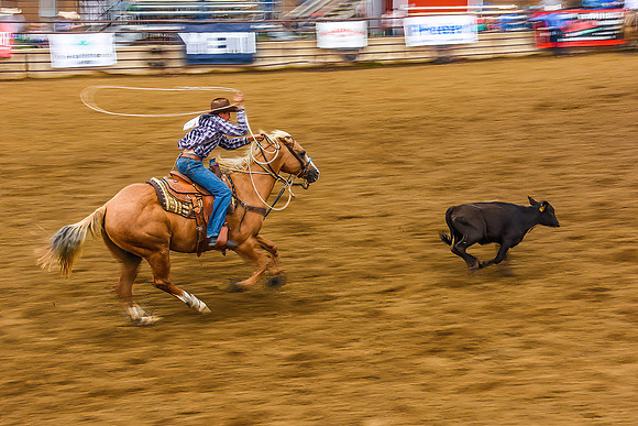 02,SE029,DP,Steer_Roping.jpg