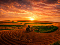 03,SE158,DA,A_Field_Well_Tended.jpg