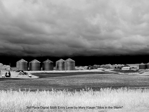 3rd Place Digital B&W Entry Level by Mary Klauer - Silos in the Storm