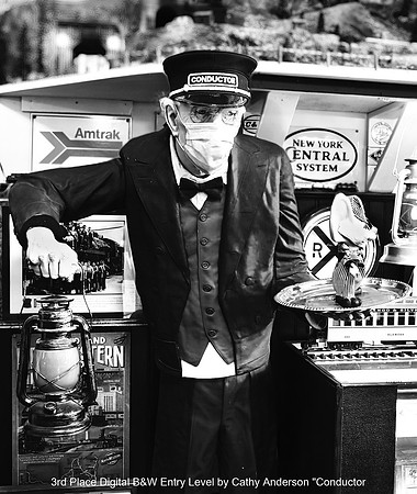 3rd Place Digital B&W Entry Level by Cathy Anderson - Conductor