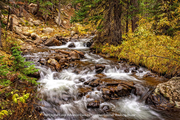 HM Digital Color Advance Class by Douglas Conrad - Rushing Brook