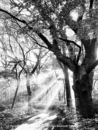 1st Place Digital B&W Entry Level by Abbi Boutwell - Untitled