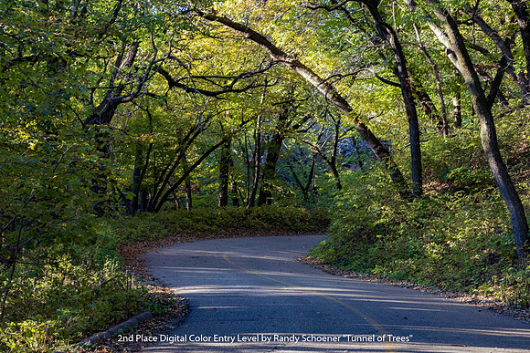 2nd Place Digital Color Entry Level by Randy Schoener - Tunnel of Trees
