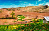 HM Digital Open Class Color Advance Level by Ed Hohenstein - All Quiet A Rural Range