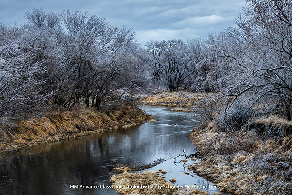 HM Advance Class Digital Color by Randy Schoener - Ice in the Trees