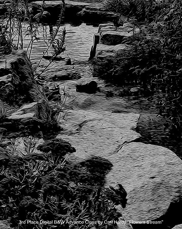 3rd Place Digital B&W Advance Class by Carl Hardy - Flowers Stream
