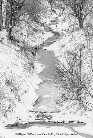 HM Digital B&W Advance Class by Peg Gilbert - Open Water