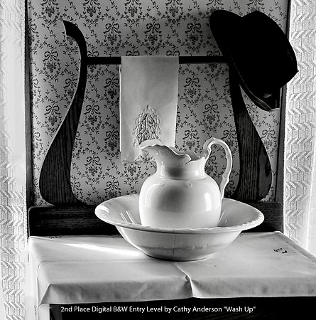 2nd Place Digital B&W Entry Level by Cathy Anderson - Wash Up