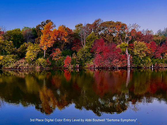 3rd Place Digital Color Entry Level by Abbi Boutwell - Sertoma Symphony