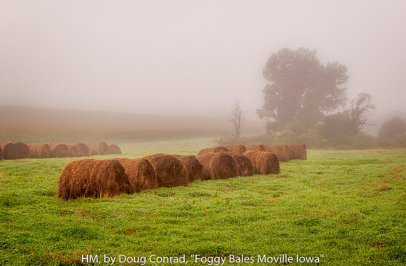 HM, by Doug Conrad, "Foggy Bales"